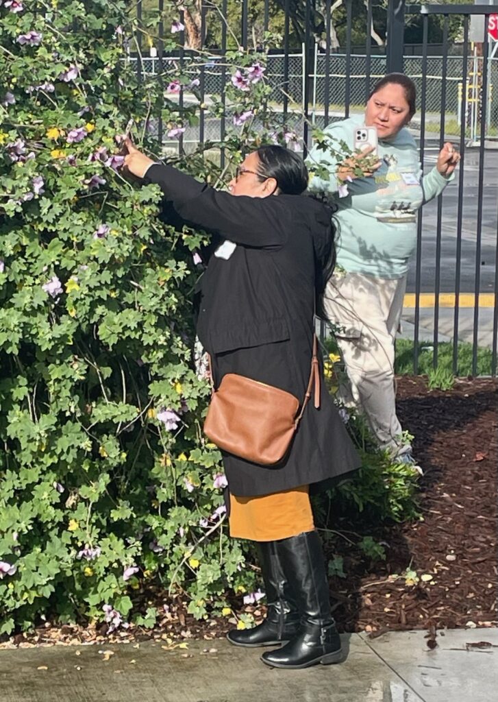 2024-Smartphone-Photography-Class